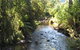 Little River Wines Of Taggerty - thumb 5