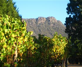 Little River Wines Of Taggerty - Tourism Canberra 6