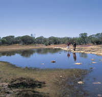 Camel Soak - Tourism Canberra