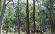 Cathedral Range State Park - thumb 0