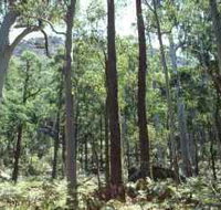 Cathedral Range State Park - Tourism Canberra