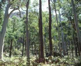 Cathedral Range State Park - Tourism Canberra 0