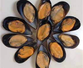 Advance Mussel Supply - Tourism Canberra 3