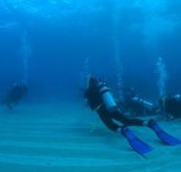 Man and Wife Rocks Dive Site - Tourism Canberra