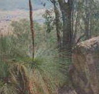 Mount Lawson State Park - Tourism Canberra