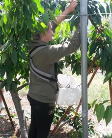 Mouat's Farm - Tourism Canberra 4