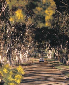 East Wickepin ACT Tourism Canberra