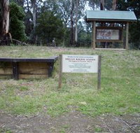 Shelley Forest Camp - Tourism Canberra