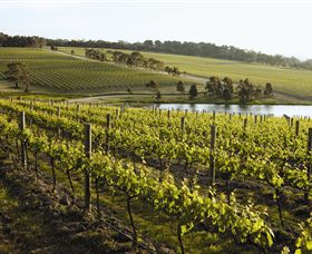 Yabby Lake Vineyard & Cellar Door - Tourism Canberra 7