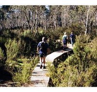 Hume and Hovell Walking Track - Henry Angel Trackhead - Tourism Canberra