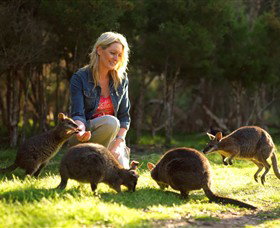 Pearcedale VIC Tourism Canberra