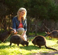 Moonlit Sanctuary Wildlife Conservation Park - Tourism Canberra