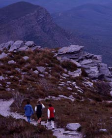 Borden WA Tourism Canberra