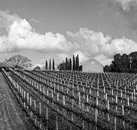 Willow Creek Vineyard - Tourism Canberra