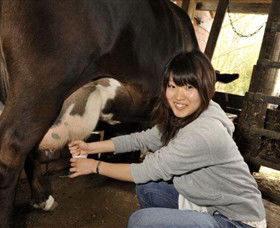 Warrook Farm - Tourism Canberra 2