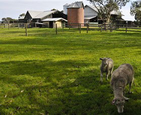 Warrook Farm - Tourism Canberra 4
