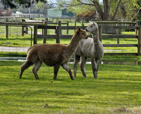Warrook Farm - Tourism Canberra 6
