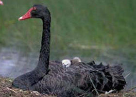  Tourism Canberra