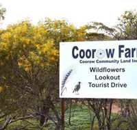 Coorow Farm Wildflower Trail - Tourism Canberra