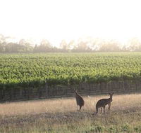Small Forest Wine - Tourism Canberra