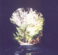 Glow Worm Tunnel - Tourism Canberra