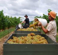 Golden Grove Estate - Tourism Canberra