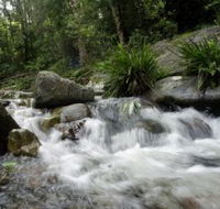 Washpool National Park - Tourism Canberra