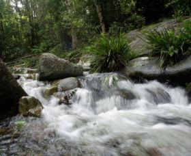 Washpool National Park - Tourism Canberra 0