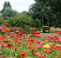 Alma Park - Tourism Canberra