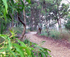 Mount Mutton Walking Trail - Tourism Canberra 0