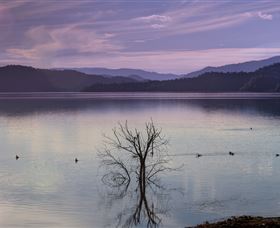 Scone NSW Tourism Canberra