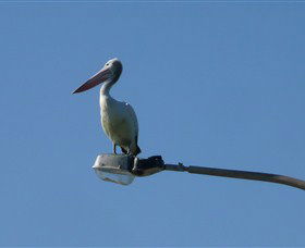 Bailey's Sydney - Tours For People Who Don't Like Tours - Tourism Canberra 3