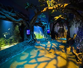 SEA LIFE Sydney Aquarium - Tourism Canberra 2