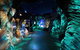 SEA LIFE Sydney Aquarium - thumb 3