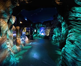 SEA LIFE Sydney Aquarium - Tourism Canberra 3