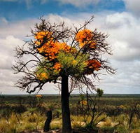 The Delmar Gallery - Tourism Canberra