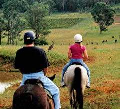 Hunter Valley Horse Riding And Adventures - Tourism Canberra 3