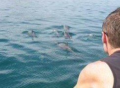 Tex Tours - Tourism Canberra 3