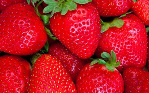 Newcastle City Farmers Markets - Tourism Canberra 2