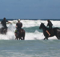 Pegasus Park Equestrian Centre - Tourism Canberra