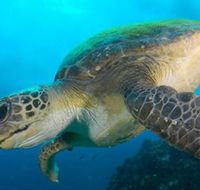Byron Bay Dive Centre - Tourism Canberra