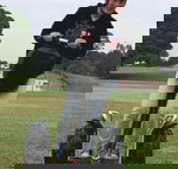 Segway Tours Australia - Tourism Canberra