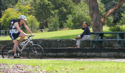 Pennant Hills West Pymble Fire Trail - Tourism Canberra 0