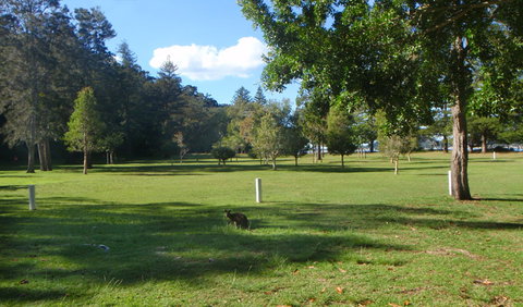 The Basin Picnic Area - Tourism Canberra 1