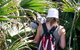 Palm Jungle Loop Track - thumb 0