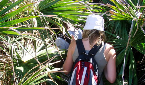 Palm Jungle Loop Track - Tourism Canberra 0
