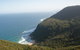Palm Jungle Loop Track - thumb 1