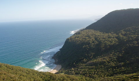 Palm Jungle Loop Track - Tourism Canberra 1