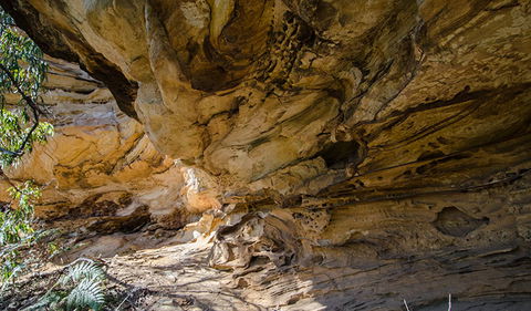 Marramarra National Park - Tourism Canberra 0