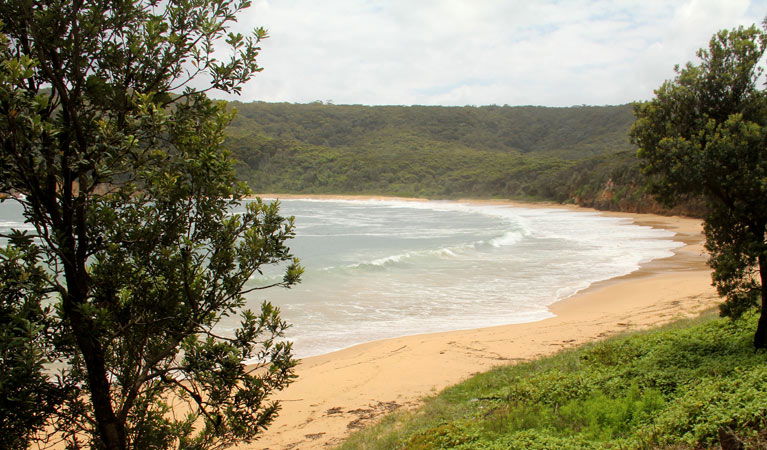 Macmasters Beach NSW Tourism Canberra